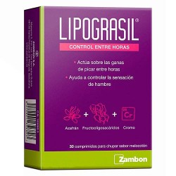 Lipograsil Control Entre Horas 30 Comprimidos