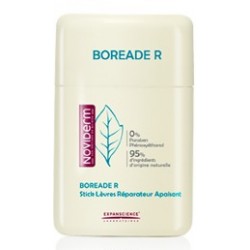 Noviderm Boreade R Stick Reparador 11ml