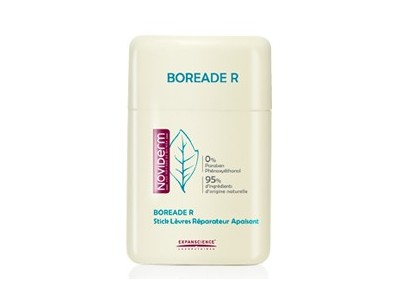 Noviderm Boreade R Stick Reparador 11ml