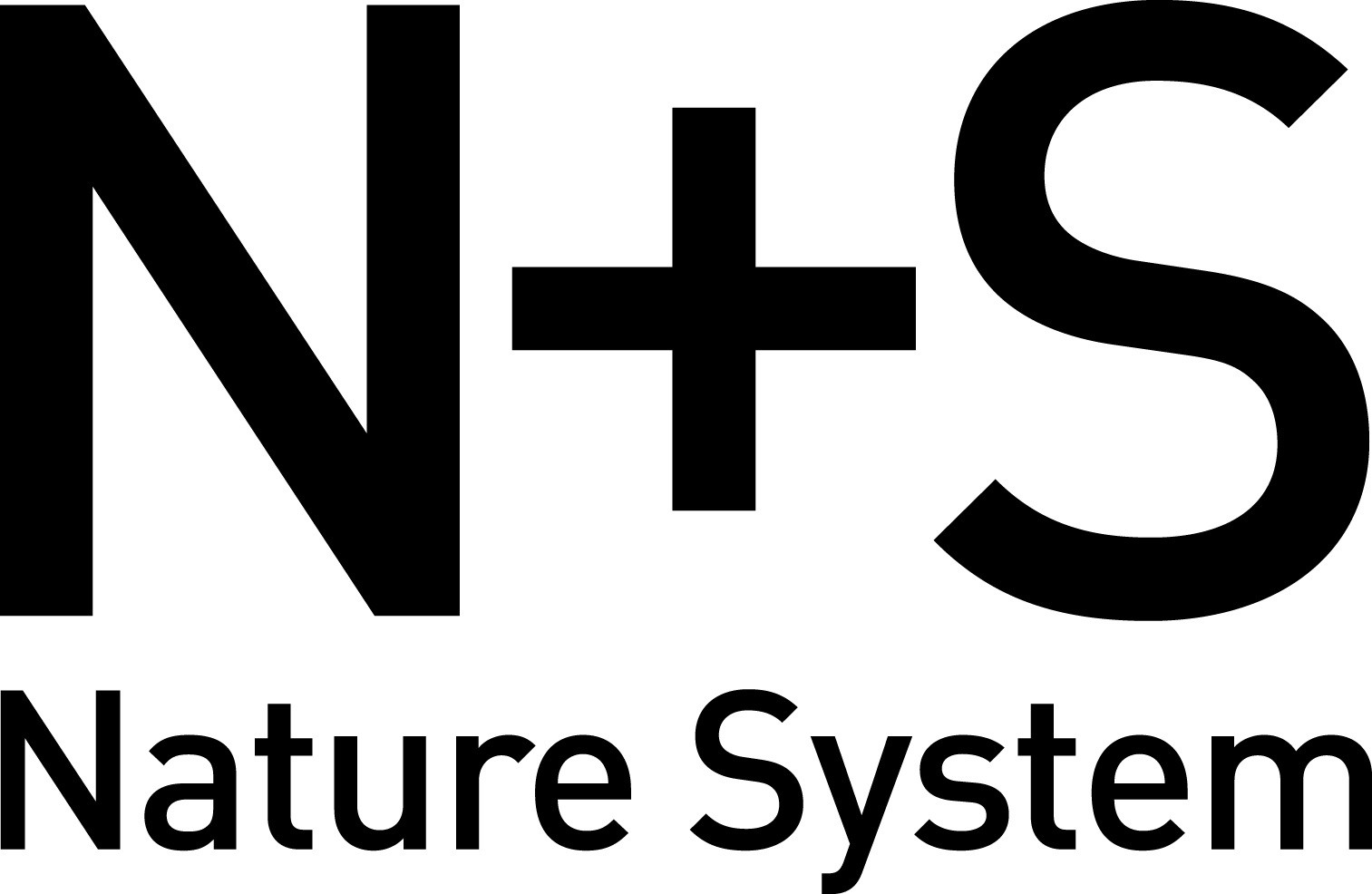 N+s